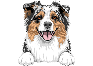 Nala & Friends Logo